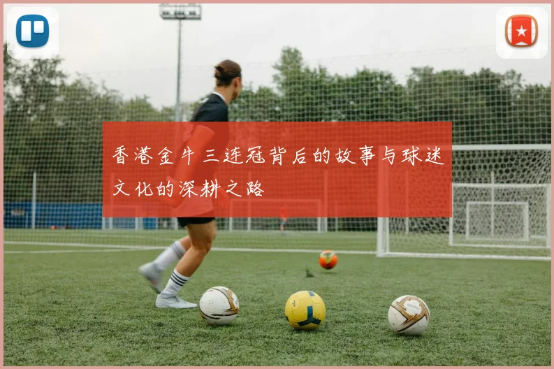 香港金牛三连冠背后的故事与球迷文化的深耕之路