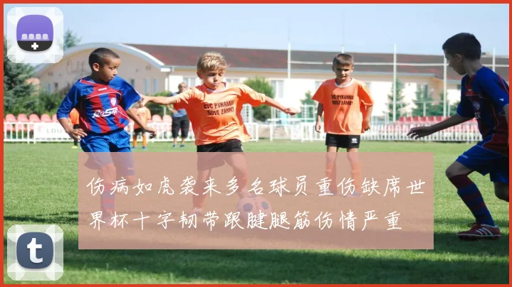 伤病如虎袭来多名球员重伤缺席世界杯十字韧带跟腱腿筋伤情严重
